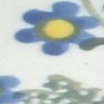 blue posy