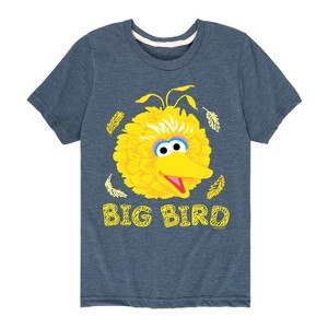 Boys' - Sesame Street - Big Bird Face Short Sleeve Graphic T-Shirt - 1 of 4