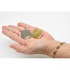 CWG | Clams, Pair of Two, Realistic Plastic Littleneck Clams Model, Toy, Figure     1"     CWG140 BB28 - 3 of 4