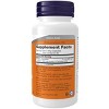 Acetyl-L-Carnitine 500mg by Now Foods  -  50 Capsule - 2 of 3