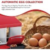 3/ 4 Hole Metal Chicken Nesting Box with Removable Roll-Out Tray Easy Egg Collection & Clean Galvanized Steel Laying Box, for Backyard Coop Orange - 4 of 4