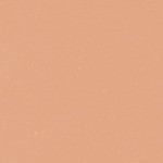 313 Light Tan