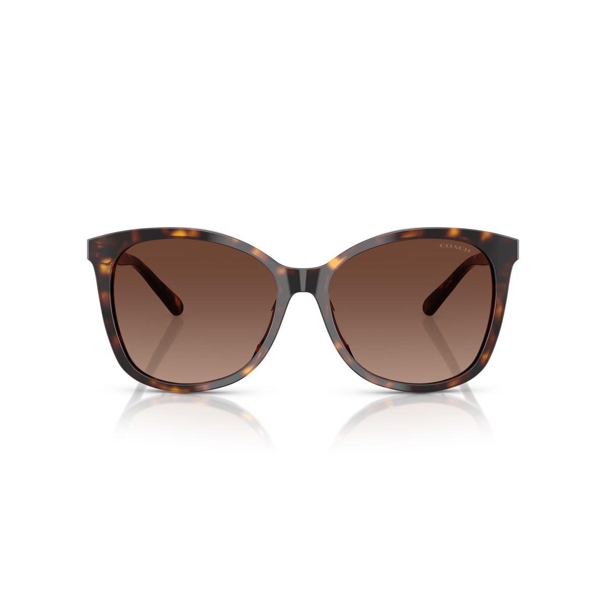 Coach HC8271U 57mm Female Square Sunglasses Polarized - thumbnail 8
