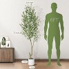 Acekool Artificial Olive Tree with White Planter and Fruit, 5ft/6ft/7ft Indoor Faux Tree, Realistic 1 or 2-Pack for Home or Porch - 2 of 4