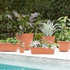 Bloem 24" Dayton Window Box Planter, Coral - 3 of 4