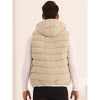 Lars Amadeus Men's Drawstring Hooded Sleeveless Outdoor Padded Down Vest - 3 of 4