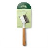 Palm Brush Replacement Head - 2ct - Everspring™ : Target