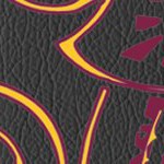arizona state sun devils