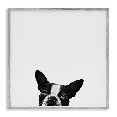 Stupell Industries Dog Peeking From Below, 24" x 24"