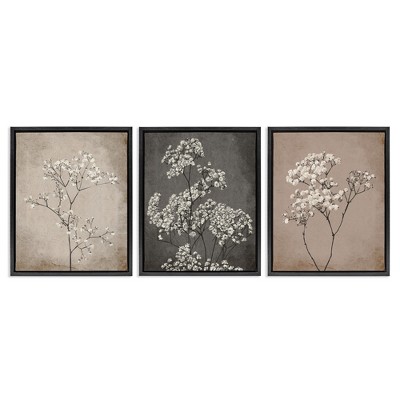 Stupell Industries Botanical Baby's Breath Herbs, 17" x 21"