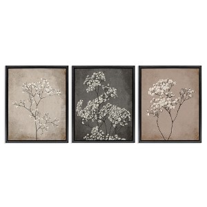 Stupell Industries Botanical Baby's Breath Herbs, 17" x 21" - 1 of 4