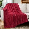 PAVILIA Plush Knit Throw Blanket for Couch Sofa Bed, Super Soft Fluffy Fuzzy Lightweight Warm Cozy All Season - 3 of 4