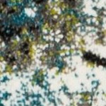 blue/multi