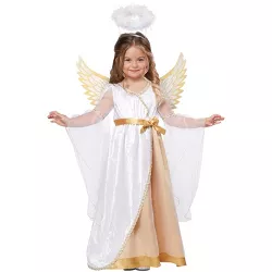 California Costumes Guardian Angel Toddler Costume