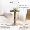 COZAYH Pedestal Tray Top End Table for Drinks, Lamps or Plants, Brown, Set of 2 - 2 of 4