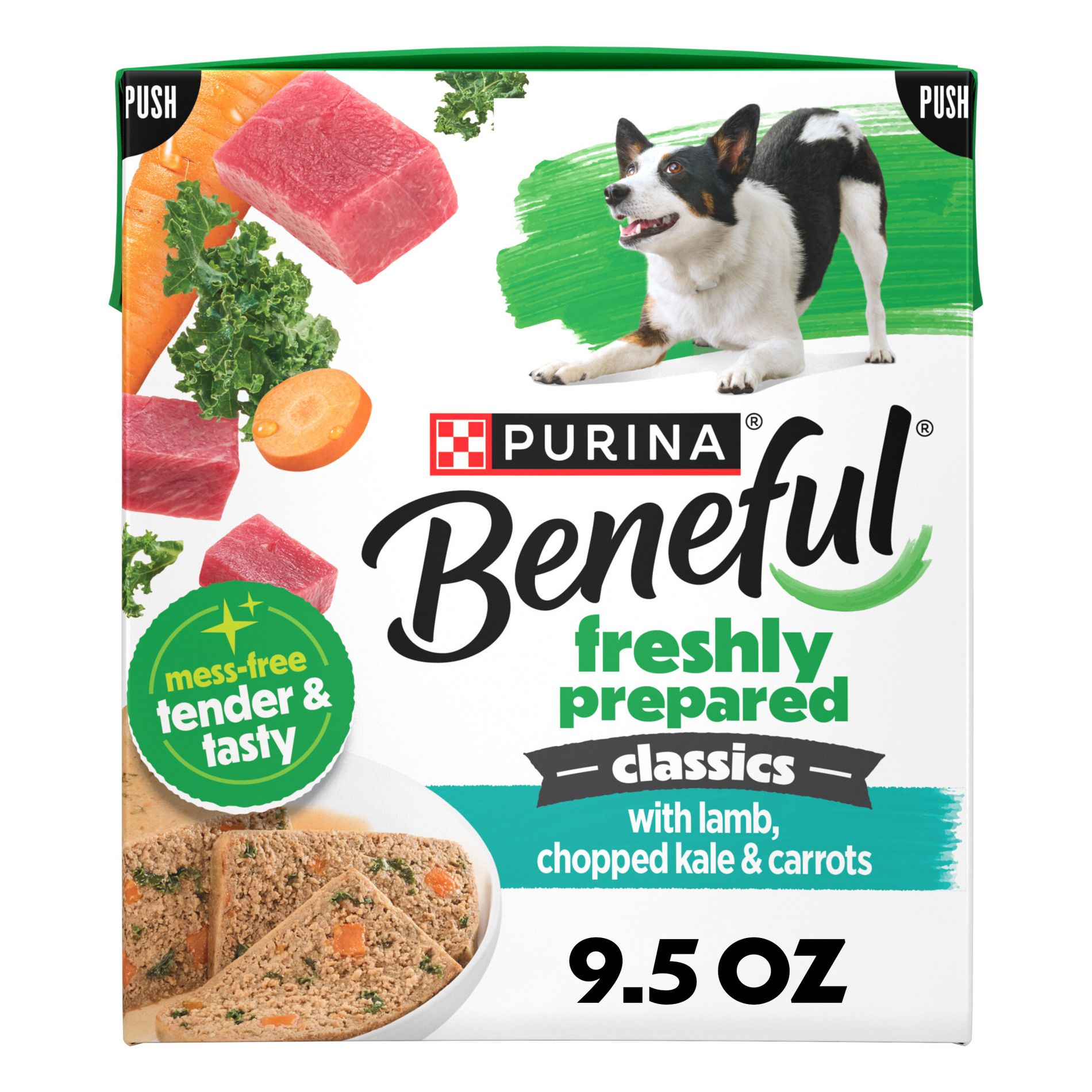 Beneful Freshly Prepared Classics Flavor Wet Dog Food - 9.5oz