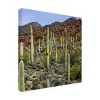 "Santa Catalina Mountains" Outdoor Canvas - image 2 of 4