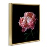 Stupell Industries Dark Rose Photography Floating Frame Canvas Art - 2 of 4