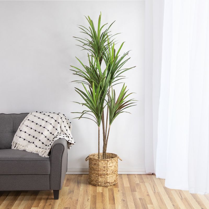 Northlight Real Touch™️ Green Artificial Dracaena Marginata Plant in Black Pot - 5.5', 2 of 8