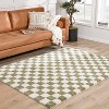 Hauteloom Canika Green Checkered Washable Plush Rug - 2 of 4