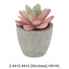 Unique Bargains Artificial Plants Pulp Planter Plastic Flesh 2.44"x2.44"x3.35" 1Pc - 3 of 4