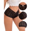 INSPIRE CHIC Women's Mid Rise Hollow Lace Hip-Lifting Full Coverage Breathable Briefs - 3 of 4