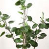 Artificial Tree - Faux 59" Potted Polyscias Tree - FXP1003 - Multicolored - Safvieh - 3 of 4