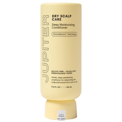 Jupiter Dry Scalp Care Deep Moisturizing Conditioner - 8.5 fl oz