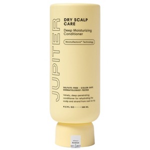Jupiter Dry Scalp Care Deep Moisturizing Conditioner - 8.5 fl oz - 1 of 4