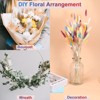 Unique Bargains Natural Dried Floral Bunny Tail Artificial Plants 60 Pcs - 4 of 4