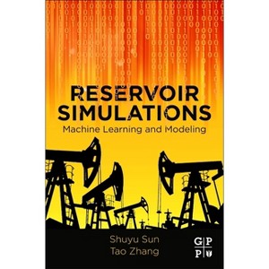 Reservoir Simulations - by  Shuyu Sun & Tao Zhang (Paperback) - 1 of 1
