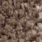 off white, dark brown