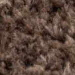 off white, dark brown