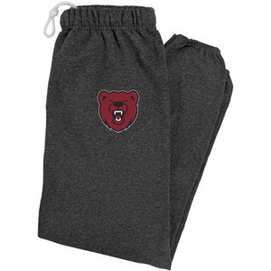 Ursinus College Primary Logo Jogger Sweatpants - 1 of 4
