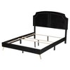 Baxton Studio Oxley Traditional Glam and Luxe Black Velvet and Gold Metal Queen Size Panel Bed - 4 of 4