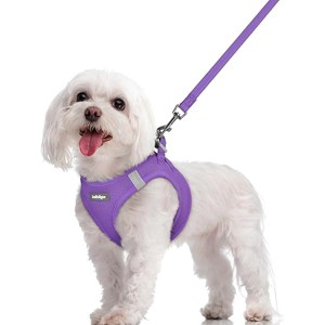 rabbitgoo Dog Harness Small Sized and Leash Set, Step in Soft Light Puppy Pet Harness, Reflective for Safe Outdoor Walking, Purple M - 1 of 1