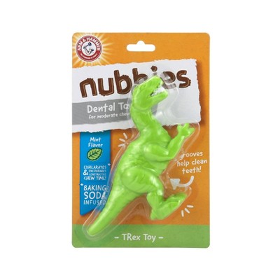 Arm & Hammer Nubbies T-Rex Dental Dog Toy - Mint - Single Pack