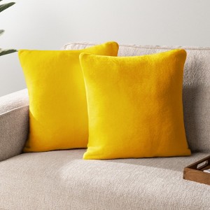 PAVILIA Set of 2 Throw Pillow Covers, Decorative Velvet Square Cushion Cases for Bed Sofa Couch Bedroom Living Room - 1 of 4