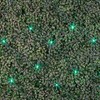 Novelty Lights 4x6 Net Lights, 100 LEDs with 4 Inch Spacing, 5mm Wide Angle Bulbs, Connectable End To End, Indoor/Outdoor - 3 of 4