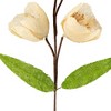 Northlight 28" Cream/Green Artificial Floral Spring Pick - 4 of 4