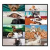 Pets Collection Monthly Desk Pad, Puppies Photography, 22 x 17, Black Binding, Clear Corners, 12-Month (Jan to Dec): 2025 - 3 of 4
