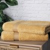 Premium Cotton Absorbent Luxury Weight Set by Blue Nile Mills - 2 of 4
