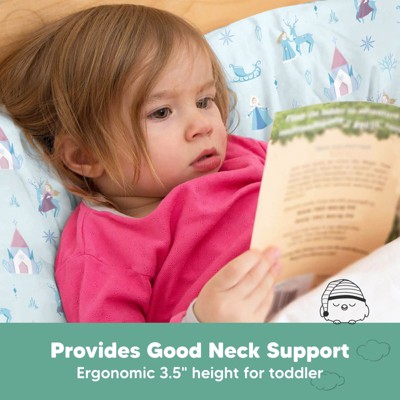 Enchanted Frost Hypoallergenic Polyester Toddler Pillow with Pillowcase