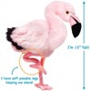 Fay The Flamingo - 13 Inch Stuffed Animal Plush - By Viahart - 3 of 4