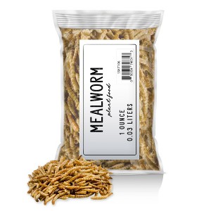 Soil Sunrise 1oz Carnivorous Plant Food Dried Mealworms, for Feeding Carnivorous Plants - 1 of 4