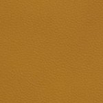 washington commanders