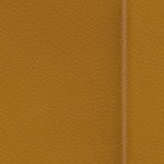 washington commanders