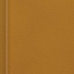 washington commanders