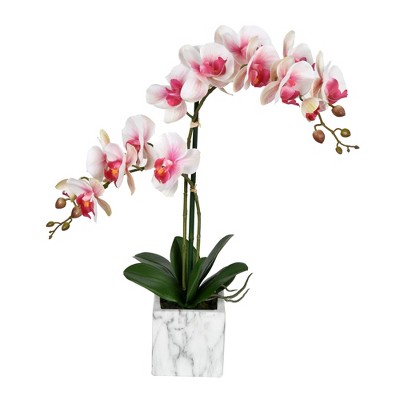 Vickerman 22" Artificial Potted Real Touch Phalaenopsis