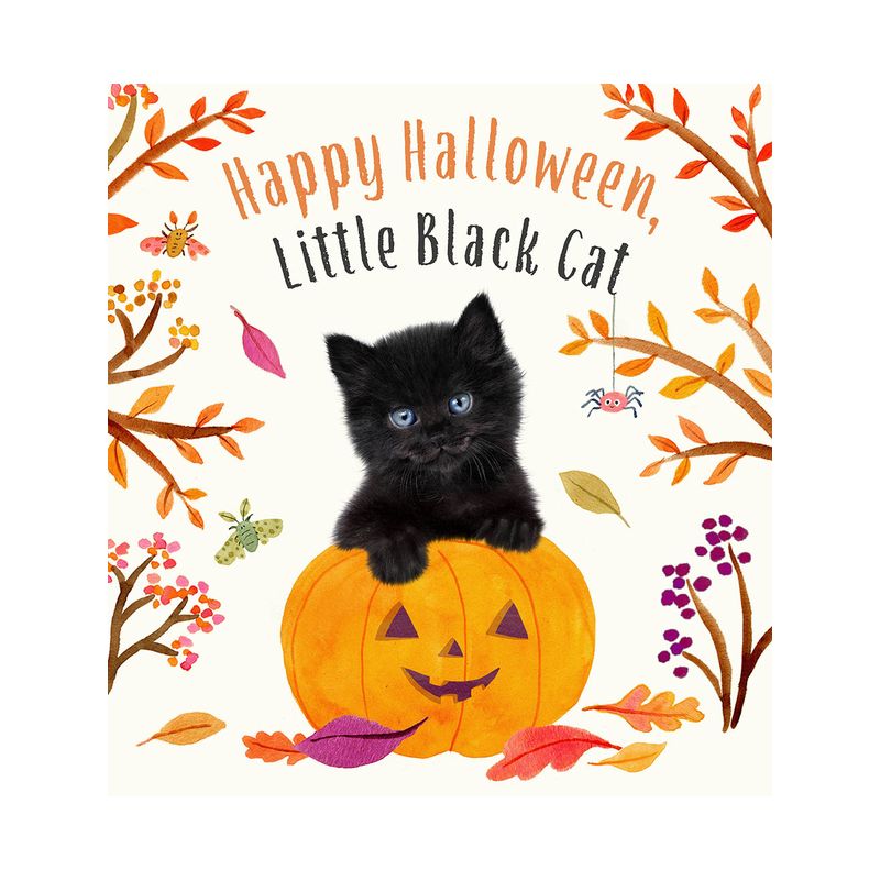 Happy Halloween, Little Black Cat - (Baby Animal Tales) by  Amanda Wood (Board Book), 1 of 2